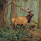 Buffalo Games - Forest King - 500 Piece Jigsaw Puzzle for Adults