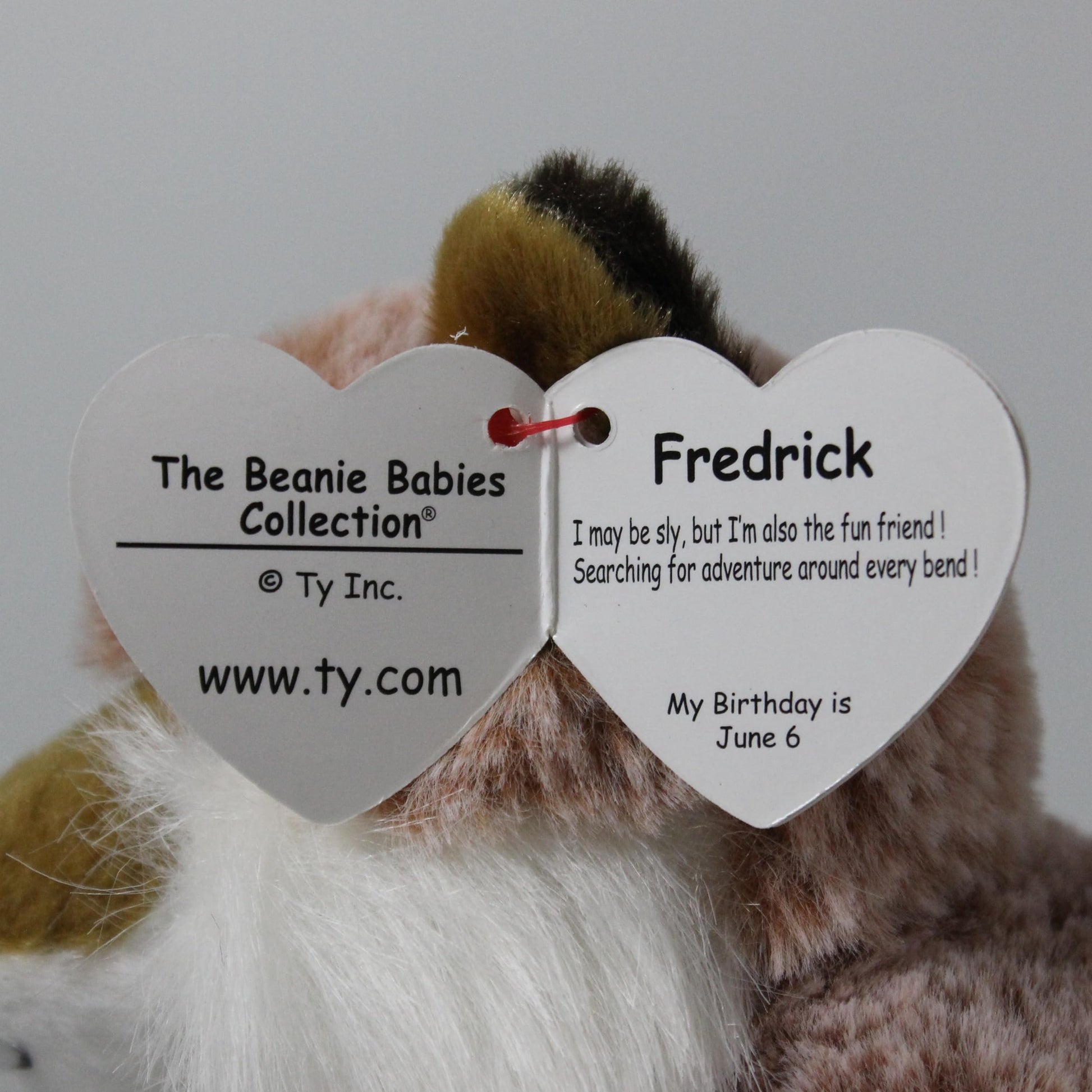 TY 50052 Beanie Babies Fredrick Fox, Multicoloured