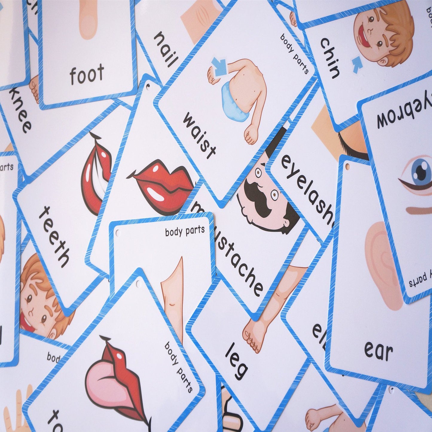 SANTSUN 36 Pieces of My Body Parts Flash Cards for Toddlers- The Flash HolePunched- So You can sort and Organize The Cards Easily and Early Learning
