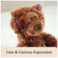 GUND Forever Friends Philbin 12-Inch Teddy Bear Plush Toy, Ages 0+