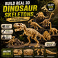 12 Pack Dinosaur Excavation Dig Kit for Kids, Dino Fossil Dig Kits with 3D Skeleton Toys, Bulk STEM Science Paleontology Archaeology Educational Toys