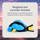 warmies Microwavable & Weighted Stuffed Animals, Blue Tang - Heated Stuffed Animal Plushie for Warmth & Comfort - Cute Soft Plush Toys for Adults