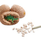 MindWare Dig It Up! Dinosaur Eggs and Mineral Stones Set of 2 Dig Kits