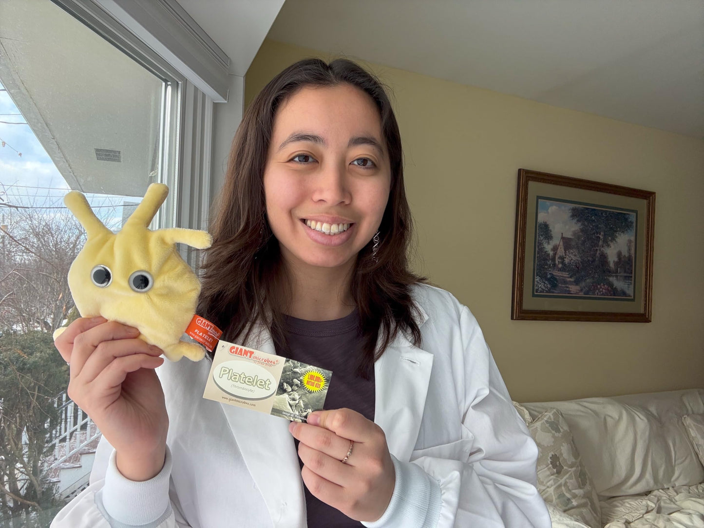 GIANTmicrobes Platelet Plush, Blood Cell Plush, Blood Bank, Gifts for Lab Techs, Hematology, Phlebotomy Gifts, Phlebotomist Gift, Circulatory System