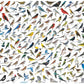 EuroGraphics The World of Birds (1000 Piece) Puzzle