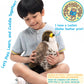 TigerHart Percival The Peregrine Falcon - 10 Inch Stuffed Animal Plush