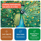 Cross & Glory | 1000 Piece Jigsaw Puzzles for Adults | Emerald Peacock