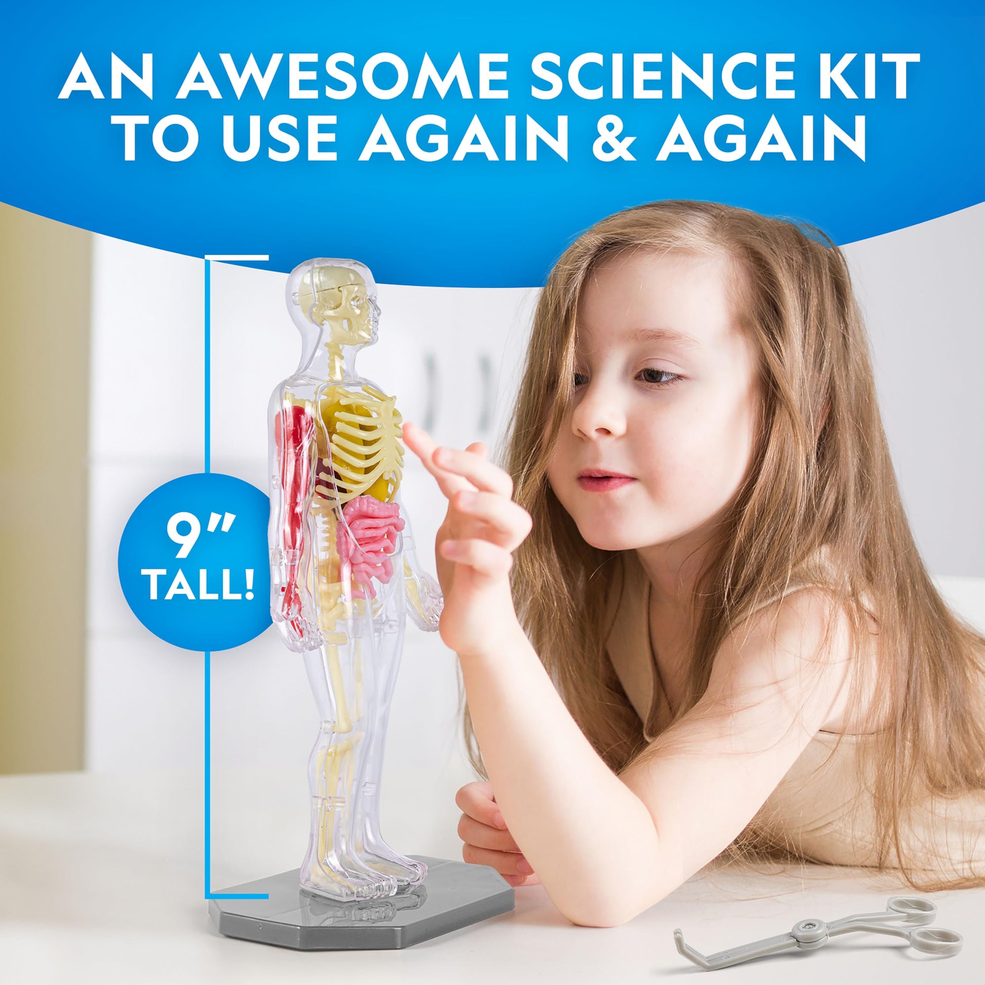 National Geographic Human Body Model for Kids 32-Piece Anatomy Set