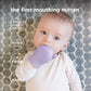 Olababy Clear Sense Silicone Mouthing Mitten (2PK) - Perfect for mouthing and Teething Babies, Adjustable Strap, BPA and Plastic-Free, 0-6 Months