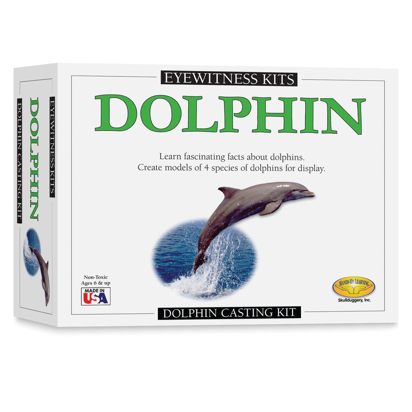 Eyewitness Kit Dolphin