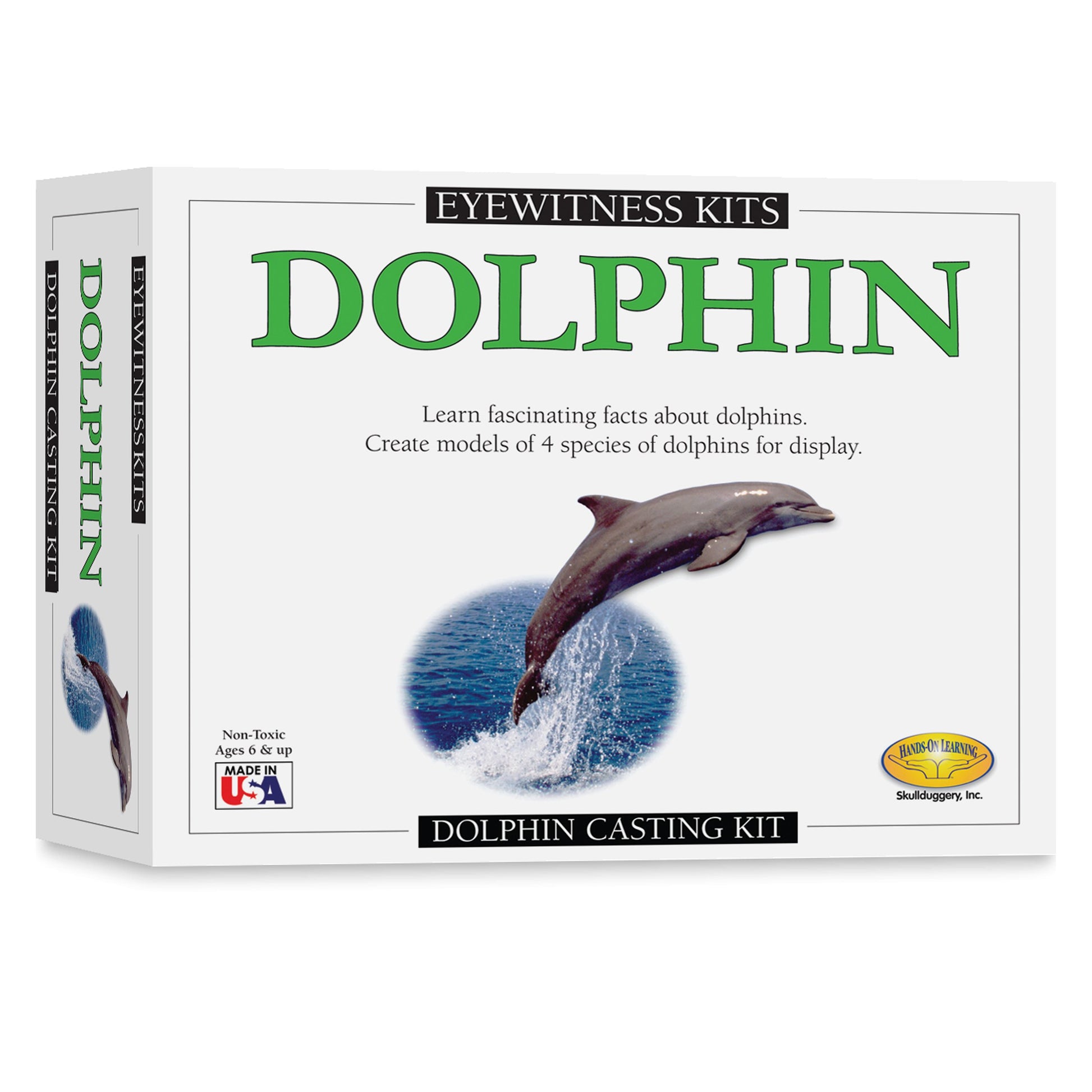 Eyewitness Kit Dolphin