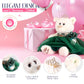 KINNEX COLLECTIONS SINCE 1997 Petite Quinceañera Teddy Bear with Dress - Decorative Accent Keepsake for 15 Años, OSO Quinceañera Decorativo