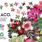Ceaco - Patiently Waiting - 500 Piece Jigsaw Puzzle for Adults