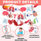 4 Strings 28 Pcs Anatomy Themed Hanging Banner, Human Body Parts Educational Cutouts Garland for Classroom Decorations, Science Party Supplies, School