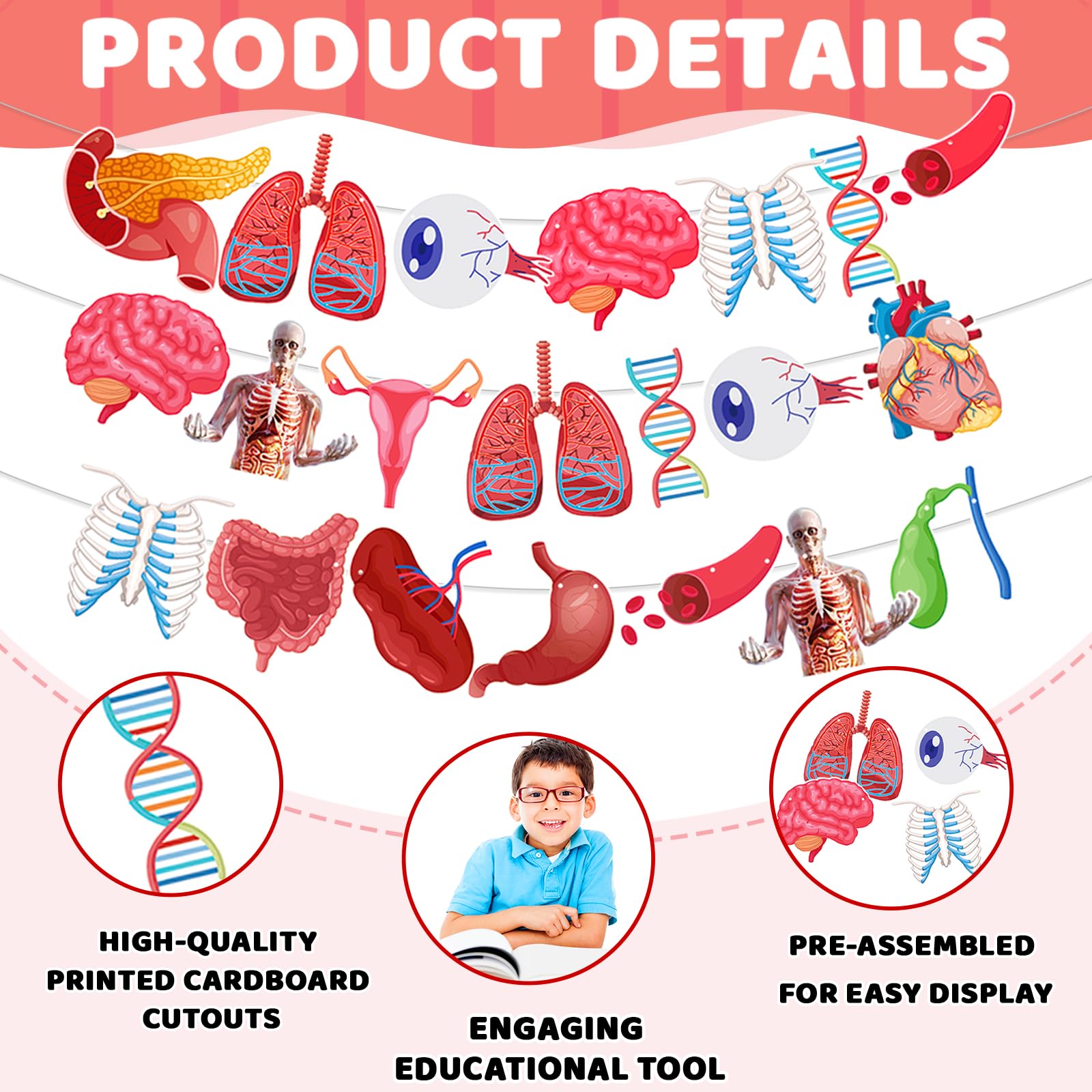 4 Strings 28 Pcs Anatomy Themed Hanging Banner, Human Body Parts Educational Cutouts Garland for Classroom Decorations, Science Party Supplies, School