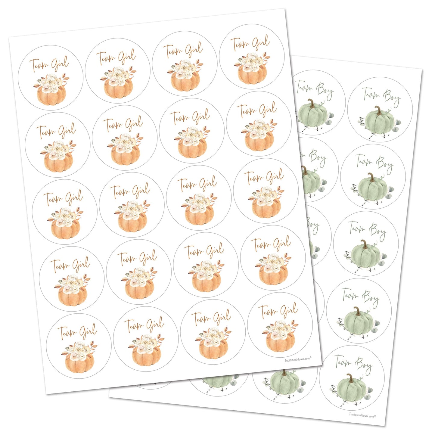 Boho Pumpkin Gender Reveal Stickers - 40 Labels (20 of Each Design)