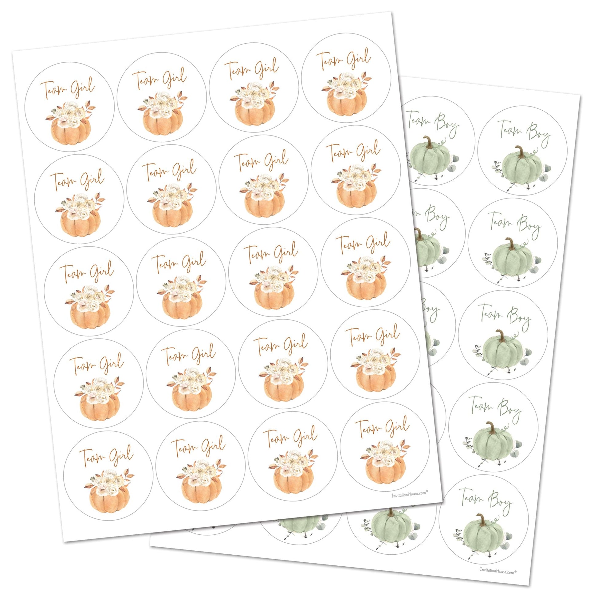 Boho Pumpkin Gender Reveal Stickers - 40 Labels (20 of Each Design)