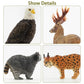 Toymany 12PCS North American Forest Animal Figurines, Realistic Jungle Zoo Animal Set Includes Moose,Cougar,Wolf,Bear,Eagle,Deer Educational Toy Cake