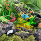 Safari Ltd. Rainforest TOOB - 11 Figurines: Macaw, Frogs, Toucan, Iguana, Monkey, and More - Educational Toy Figures For Boys, Girls, and Kids Ages 3+