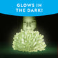 National Geographic Jumbo Crystal Growing Kit - Grow Your Own Giant Glow in The Dark Crystal in a Few Days, Science Kit, Grow Crystals for Kids, STEM