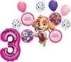 Skye Everest 3rd Birthday Party Supplies Girl Paw Pups on Patrol Balloons