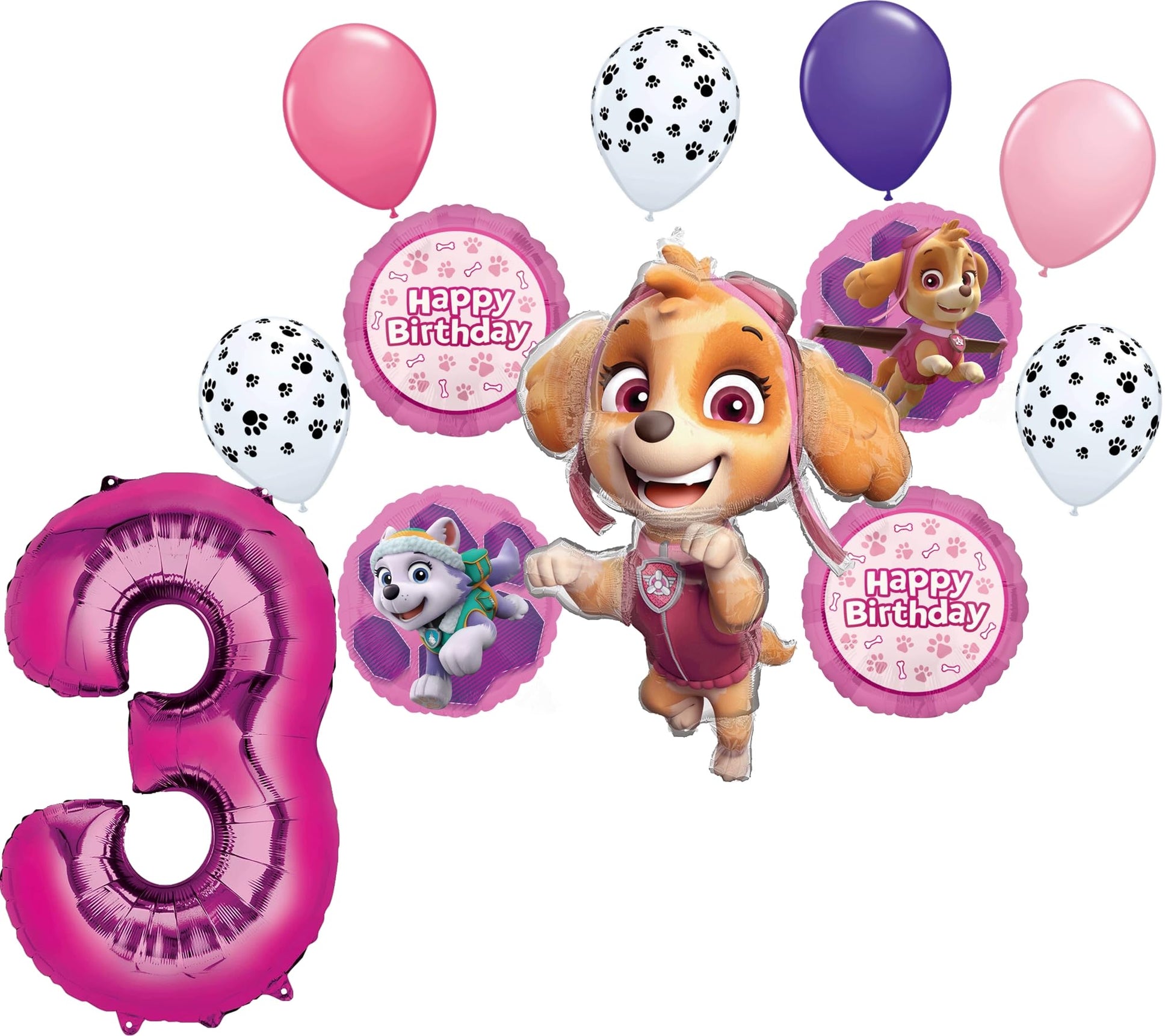 Skye Everest 3rd Birthday Party Supplies Girl Paw Pups on Patrol Balloons