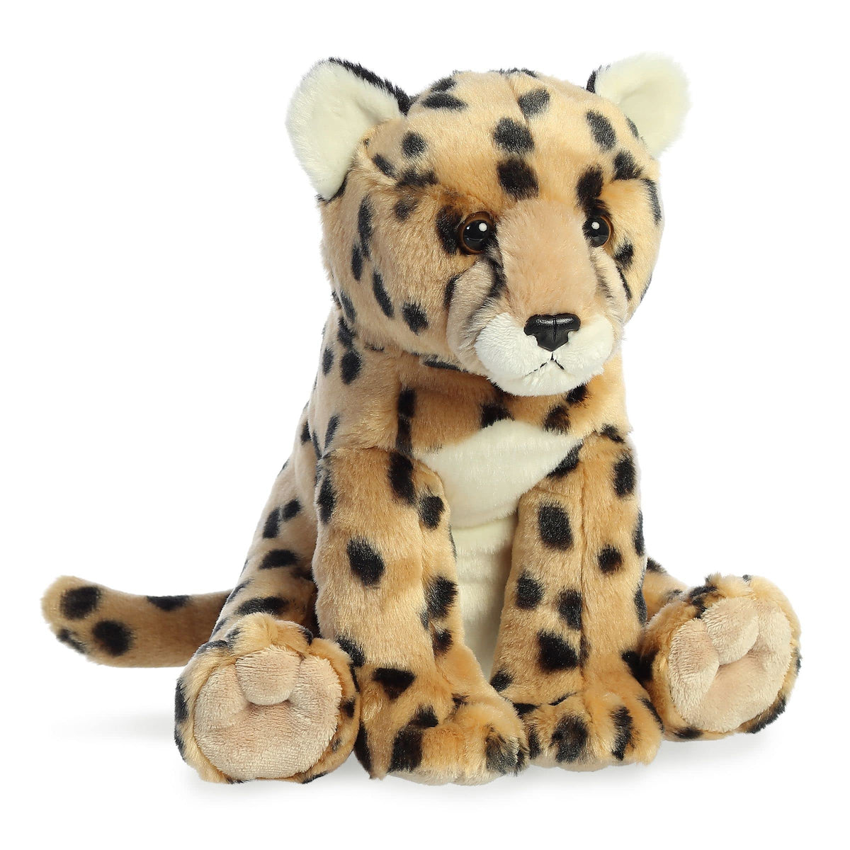 Aurora - Destination Nation - 12" Cheetah