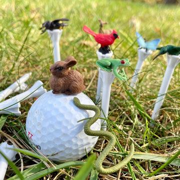 Safari Ltd. Good Luck Minis Backyard Fun Pack - Mini Figurines Including Rabbit, Frog, Butterfly, Snake, Doe, Cardinal, Honey Bee, Hummingbird