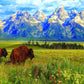 EuroGraphics Grand Teton National Park Photography by Steve Hinch 1000-Piece Puzzle