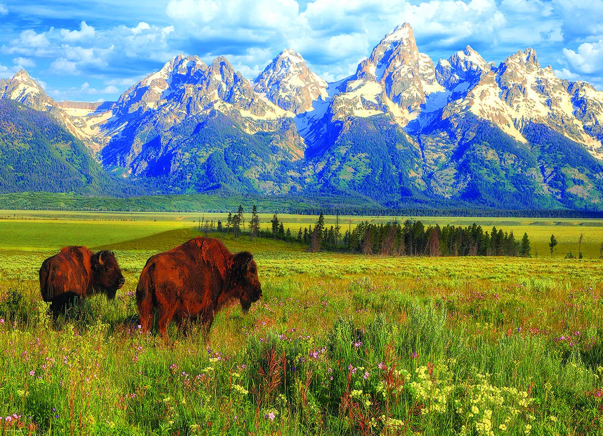 EuroGraphics Grand Teton National Park Photography by Steve Hinch 1000-Piece Puzzle