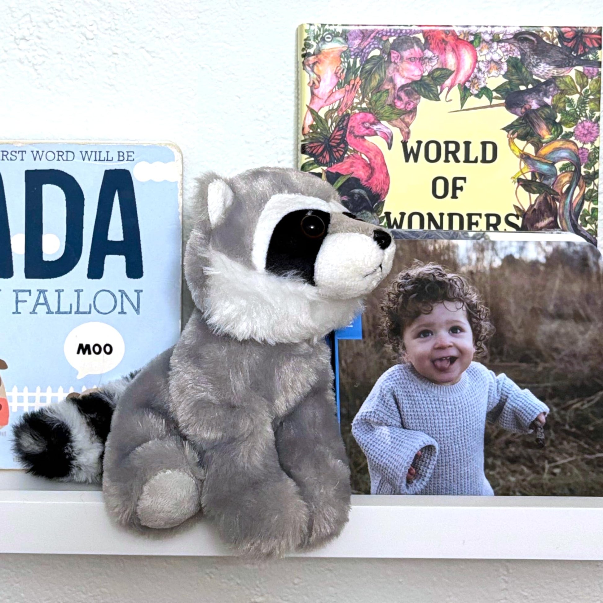 The Petting Zoo Raccoon Stuffed Animal Plushie, Gifts for Kids, Wild Onez Babiez Zoo Animals, Raccoon Plush Toy 6 inches