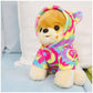 GUND Boo, The World’s Cutest Dog with Rainbow Hoodie Plush Pomeranian Stuffed Animal for Ages 1 and Up, 9”