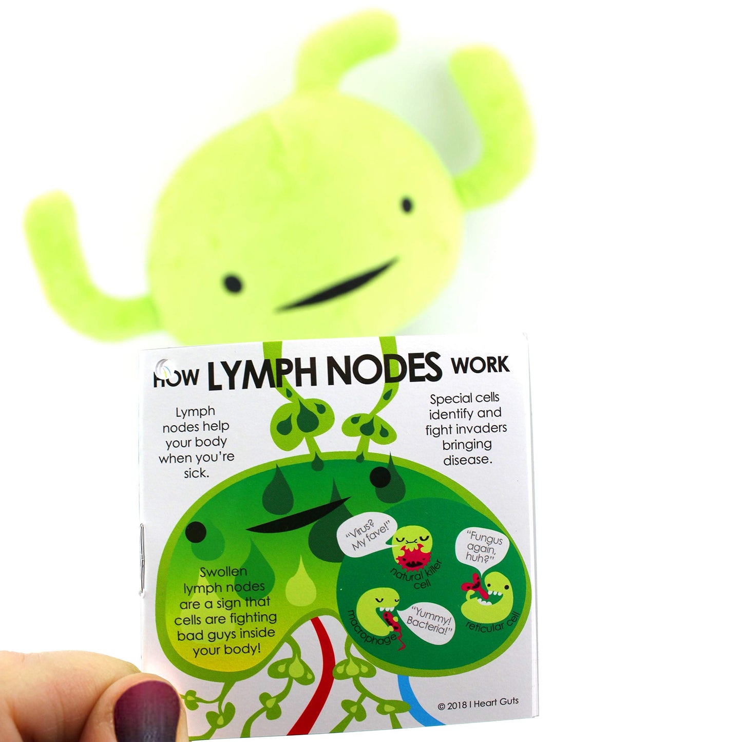 I Heart Guts Lymph Node Plush - 9" Cute Educational Organ Toy for Lymphedema & Biopsy - Funny Get Well Recovery Gift for Oncology Nurse Patients