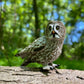 Safari Ltd. Great Grey Owl Figurine - Realistic 2.5" Bird Figure - Educational Toy for Boys, Girls, and Kids Ages 3+