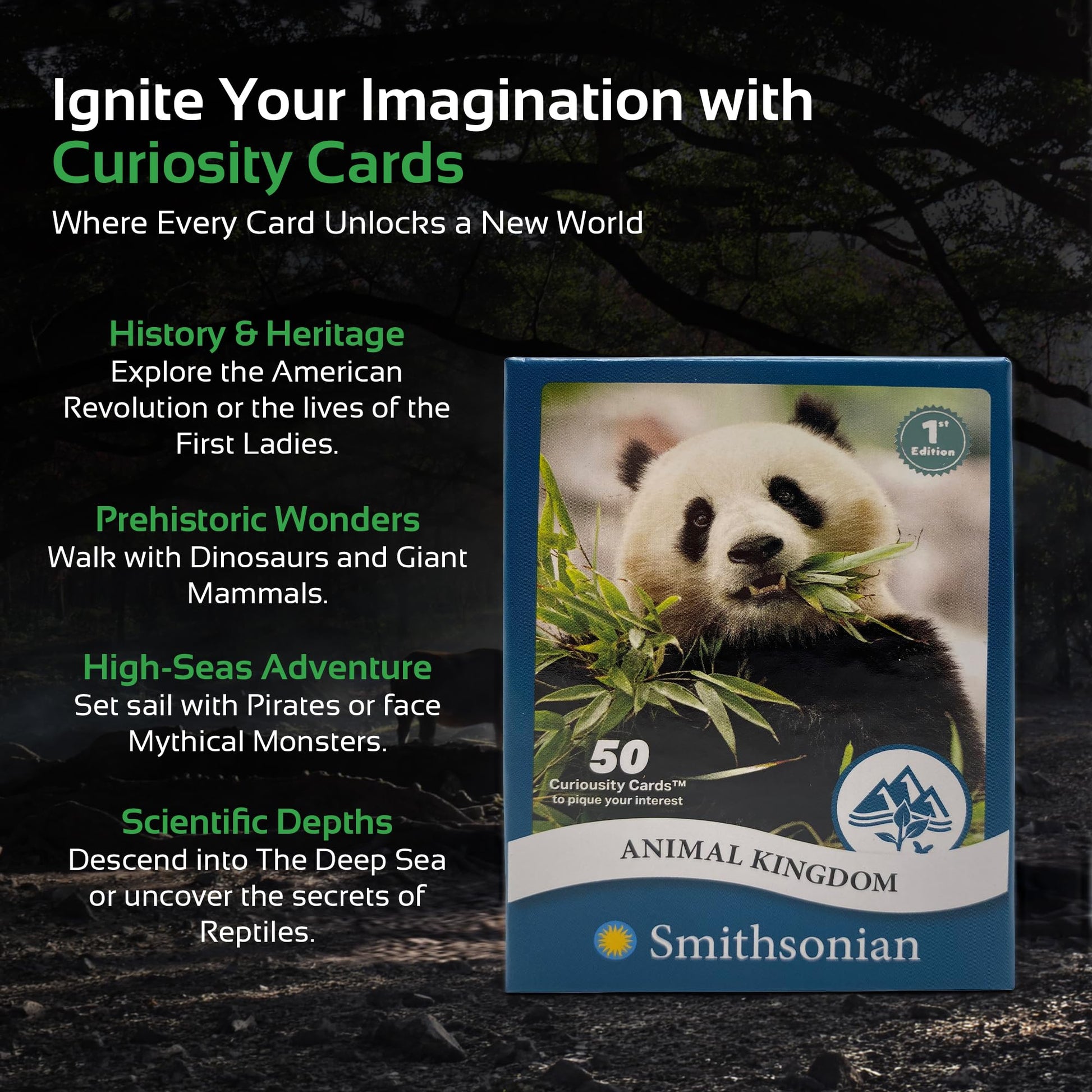 Parkside Curiosity Cards - Animal Kingdom Collectible Trading Cards - 50 Wildlife Flash Cards for Girls & Boys - STEM Learning Flashcards for Kids