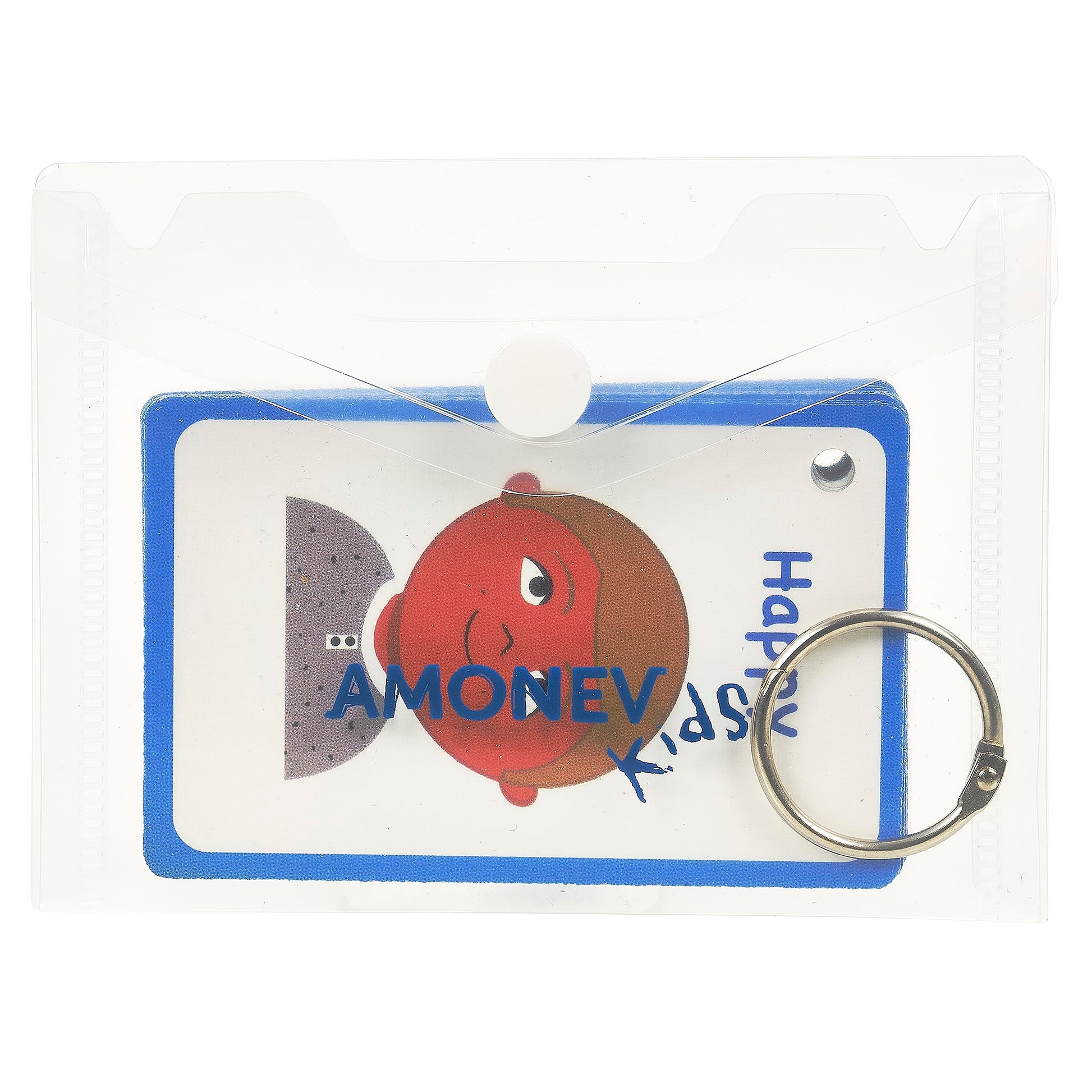 My Feelings and Emotion Boys Flash Cards for Visual aid Special Ed, Speech Delay Non Verbal Children and Adults with Autism, Special Needs ASD ADHD