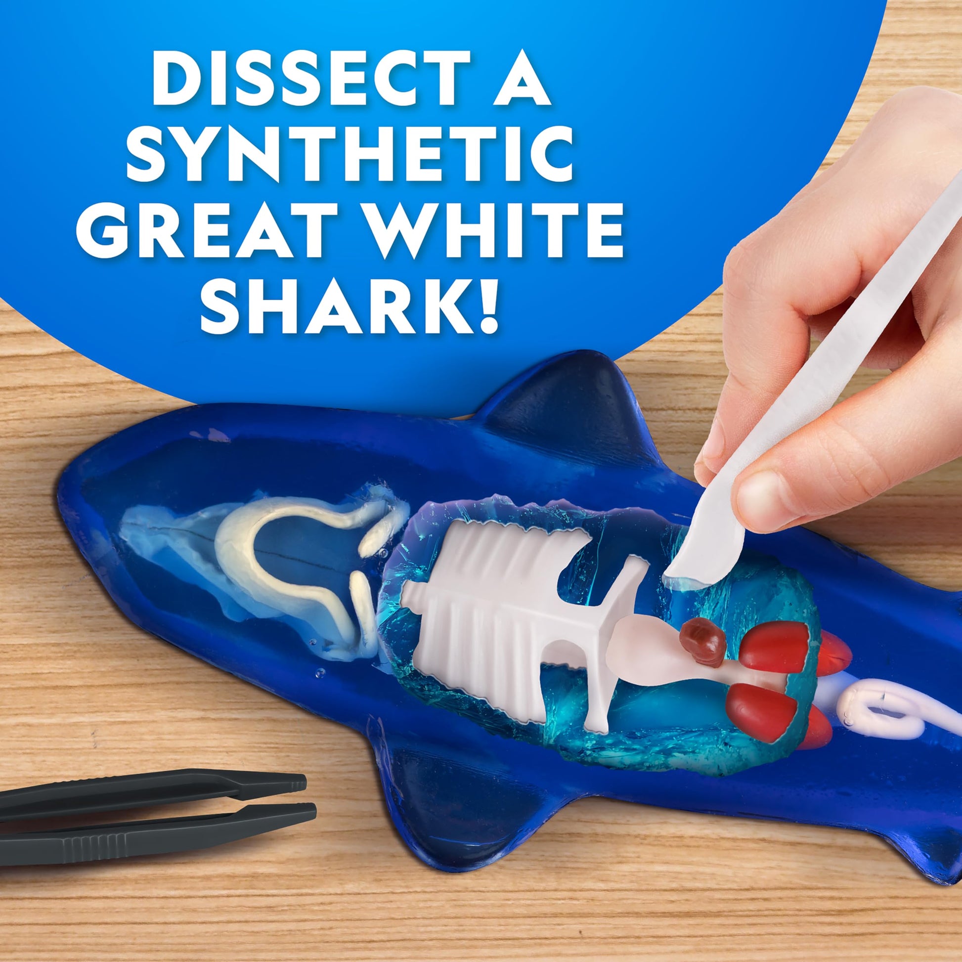 National Geographic Glow-in-the-Dark Shark Dissection Kit for Kids