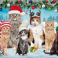 Buffalo Games - Meowy Christmas - 300 Large Piece Jigsaw Puzzle for Adults