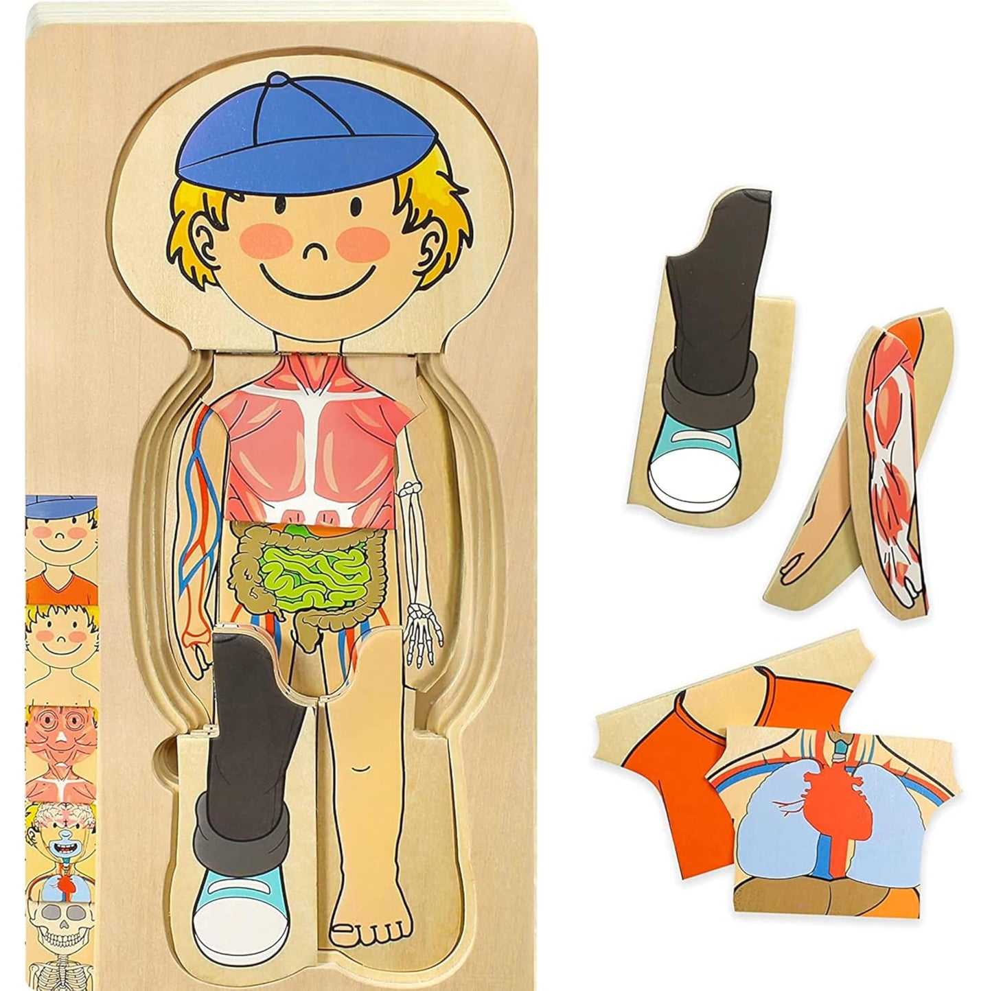 Kidzlane Boy Wooden My Body Puzzle for Toddlers & Kids - 29 Piece Boys Anatomy Puzzle Kid Play Set - Anatomy for Kids, Skeleton Toys for Children Ages