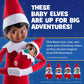 The Elf on the Shelf® Brown Eyed Girl & Matching Frost Pips™ Mini Bloom