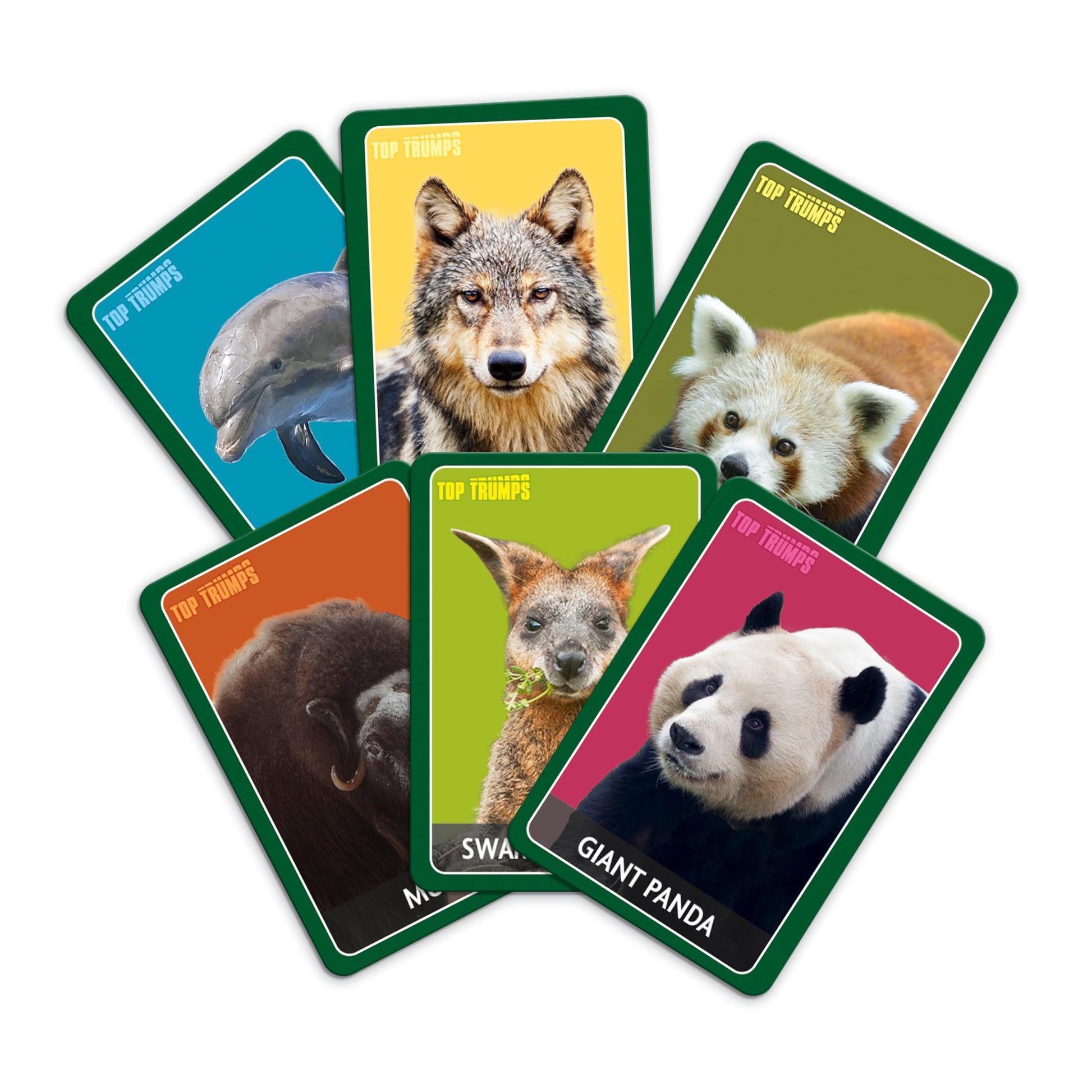 Top Trumps Match Game Awesome Animals - Family Board Games for Kids and Adults - Matching Game and Memory Game - Fun Two Player Kids Games - Memories
