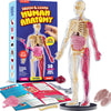 Dan&Darci Human Anatomy Squishy Body Model - Science Kits for Kids Ages 4-8 - STEM Toys for 4 5 6 7 8 Year Old Boy Birthday Gift - Learning