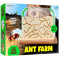 Dan&Darci Ant Farm Kit for Kids - Farms Colony - Includes Ants Voucher - Sand Habitat Kits - Bug Terrarium House - Educational Science Gifts for Kid