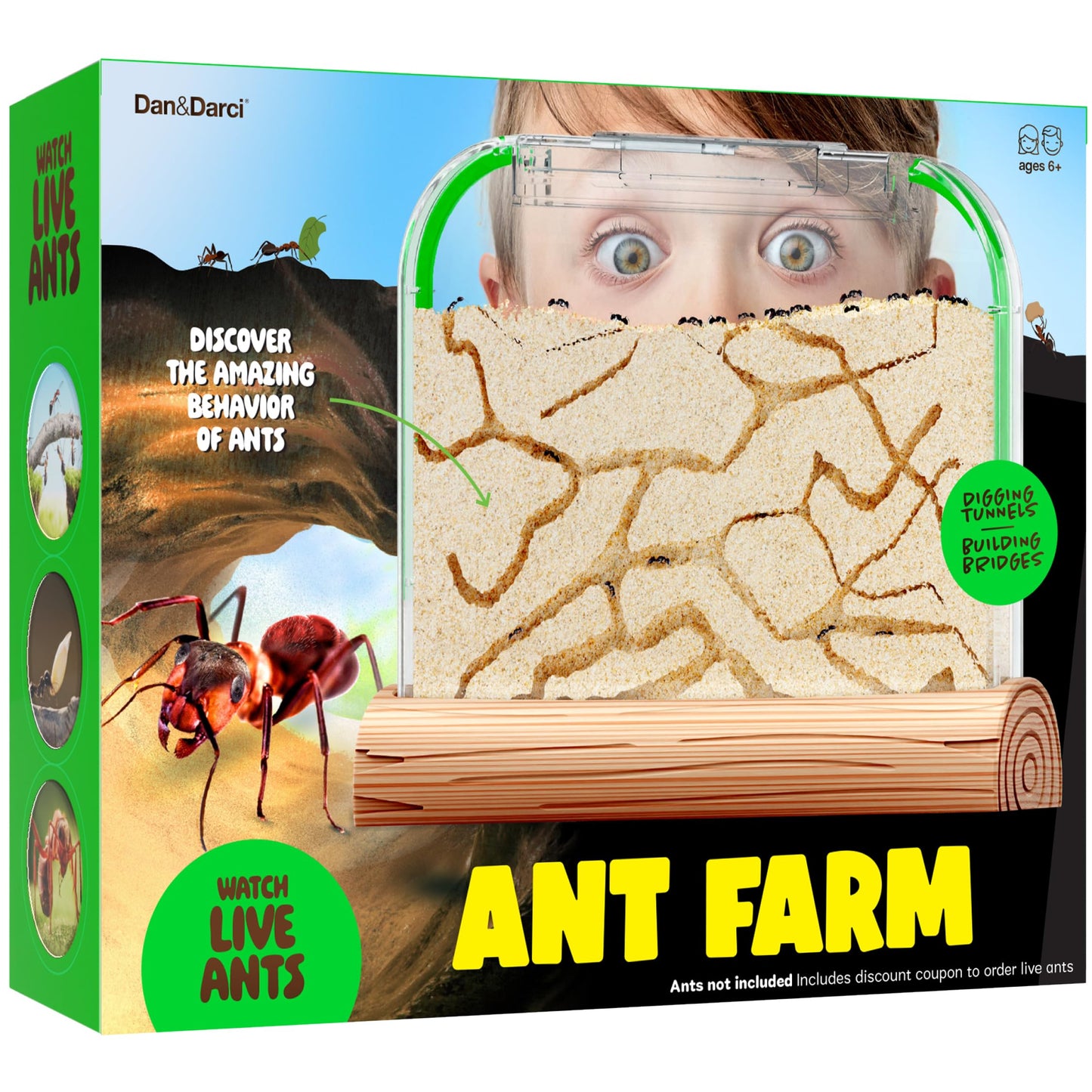 Dan&Darci Ant Farm Kit for Kids - Farms Colony - Includes Ants Voucher - Sand Habitat Kits - Bug Terrarium House - Educational Science Gifts for Kid