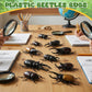 Bbiamsleep 10 Pcs Beetle Figurine Plastic Beetles Models Plastic Bugs Garden Animal Cake Topper