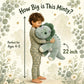 gnomantic Dinosaur Weighted Stuffed Animals, Plush Pillow for Kids