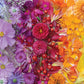 Buffalo Games - Meghan Crandall - Gradient Flora - 1000 Piece Jigsaw Puzzle for Adults -Challenging Puzzle Perfect for Game Nights - Finished Size is