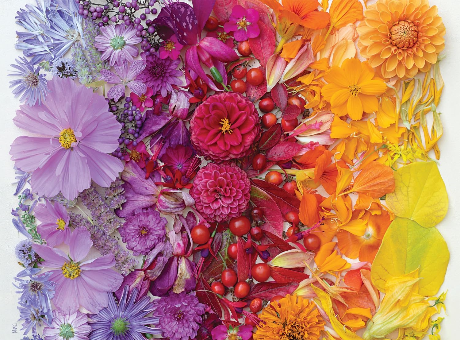 Buffalo Games - Meghan Crandall - Gradient Flora - 1000 Piece Jigsaw Puzzle for Adults -Challenging Puzzle Perfect for Game Nights - Finished Size is