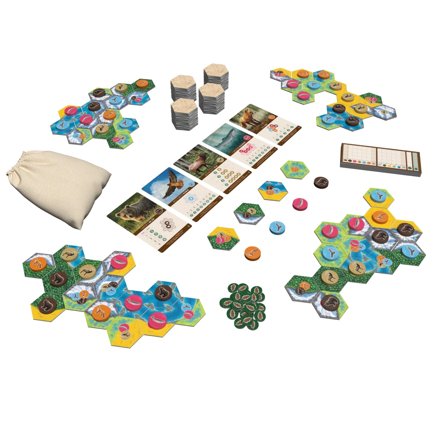 AEG & Flatout Games | Cascadia - Award-Winning Board Game Set in the Pacific Northwest | Easy to Learn | Quick to Play | Ages 10+