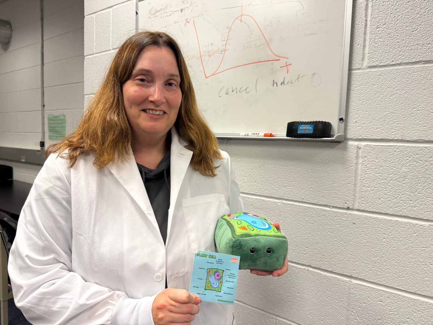 GIANT MICROBES Plant Cell Plush, Plant Cell Model, Anatomy Model, Plant Plush Toy, Cell Biology, Physiology, Biology Classroom Decor, Plant Anatomy